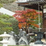 紅葉の能仁寺8