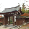 紅葉の能仁寺9