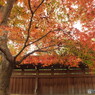 紅葉の能仁寺11