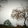 名古屋城秋　＃１