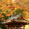 彩る