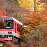 紅葉のトンネル