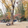 井の頭恩賜公園1