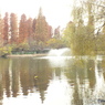 井の頭恩賜公園4