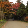 井の頭恩賜公園19
