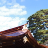 破風_新銅屋根_明治神宮