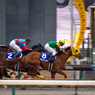 サウンドトゥルー直線一気でJRA GI初制覇  -チャンピオンズカップ-