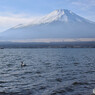 富士山 (6)