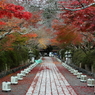 石山寺　開門直後の参道