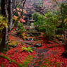 雨の日の栖賢寺4