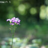 Jupiter3 50mm F1.5