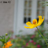 HELIOS-44-2 58mm F2