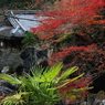 石山寺　蓮如堂