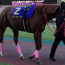 ﾍﾞｽﾄｳｫｰﾘｱ(JBCｽﾌﾟﾘﾝﾄ出走馬)