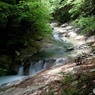 西沢渓谷 (3)