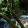 西沢渓谷 (4)