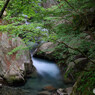 西沢渓谷（１2）