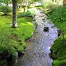 3069-18永観堂