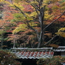 石山寺　屋根の上の秋