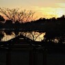 秋の夕日　＃２