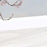 残滓への未練