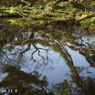Canon SE 45mm F1.9