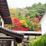 南禅寺☆紅はかうなつかしき紅葉かな