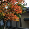 修善寺１３
