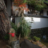 修善寺１４