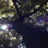 PO4-1M 35mm F2