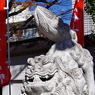 狛犬_雑司が谷大鳥神社