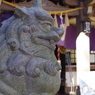 狛犬_雑司が谷大鳥神社