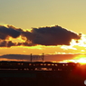 夕陽⑧