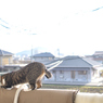 そこじゃなくても...