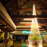 南の島のX'masイルミネーション２