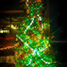 クリスマスツリー