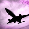 Roaring flight