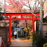 春鳥居
