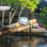 初夏の手水鉢