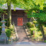 初夏の喜多院