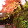 長谷寺(2)