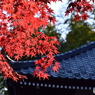 長谷寺(4)