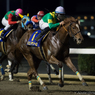 リエノテソーロが無傷の4連勝でG1制覇。