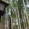 修善寺１８