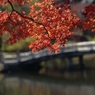 風もなく穏やかな日