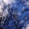 冬空