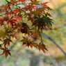 瑞宝寺公園