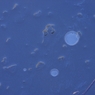 氷池３