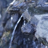 流水