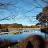 昭和記念公園2